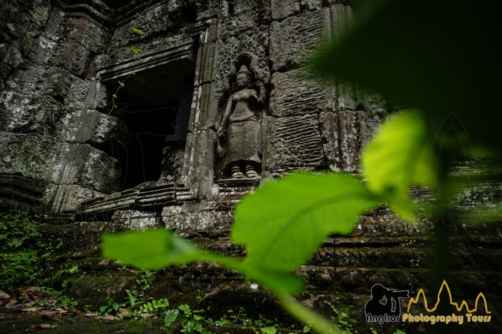 Temple du Cambodge 2